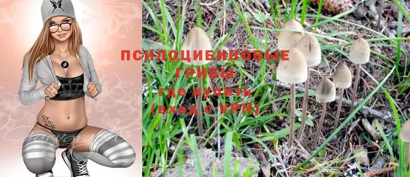 Псилоцибиновые грибы Magic Shrooms  Армавир 